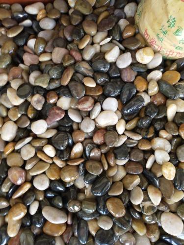 彩色園林鋪路景觀石雨花石園藝水族鋪路石按摩石礫石花園石頭