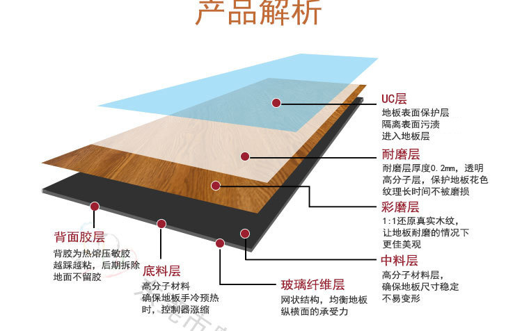 高弹舞蹈地胶_02.jpg