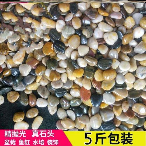 鵝卵石景觀烏龜養龜五彩石黑造景養魚池園林洗手間簡約小石子石頭