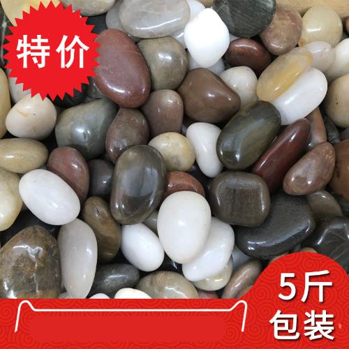 天然雨花石鵝卵石魚缸造景原石小白石子五彩石鵝軟石卵石彩色石頭