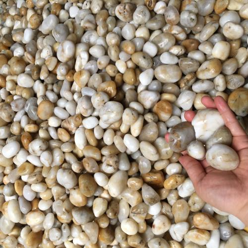 白色鵝卵石景觀小石頭圖片水沖天然鵝春石