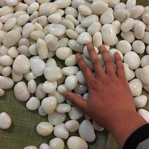 白色高拋光純天然鵝卵石頭雨花石黑色石頭鵝暖石魚缸園林造景卵石