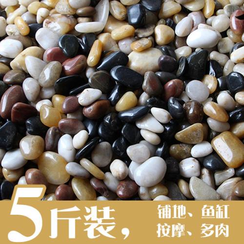 魚缸裝飾小石子盆栽休閒禪意花盆裏的小石頭顆粒多肉鋪面小石頭