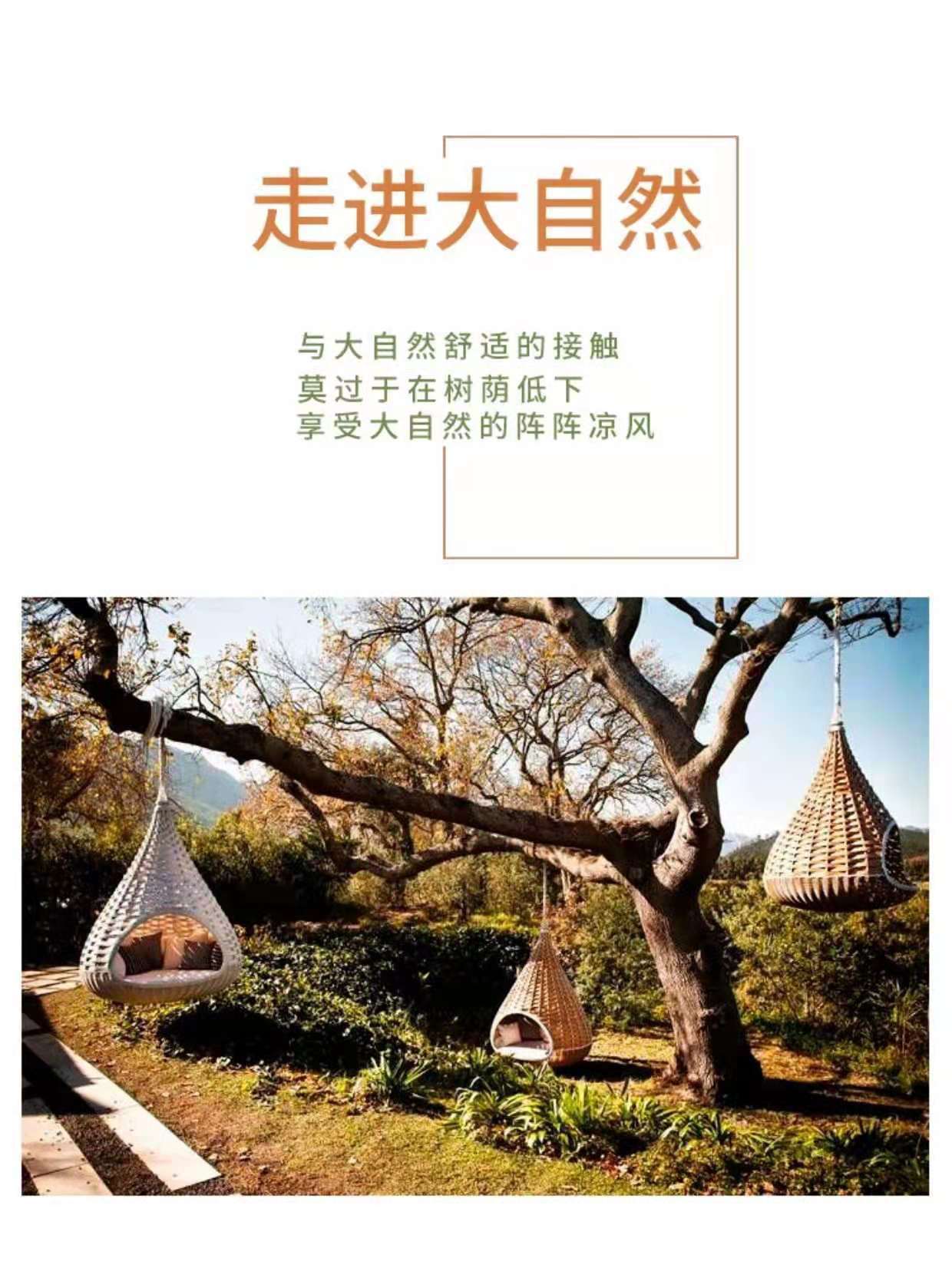 详情2.jpg