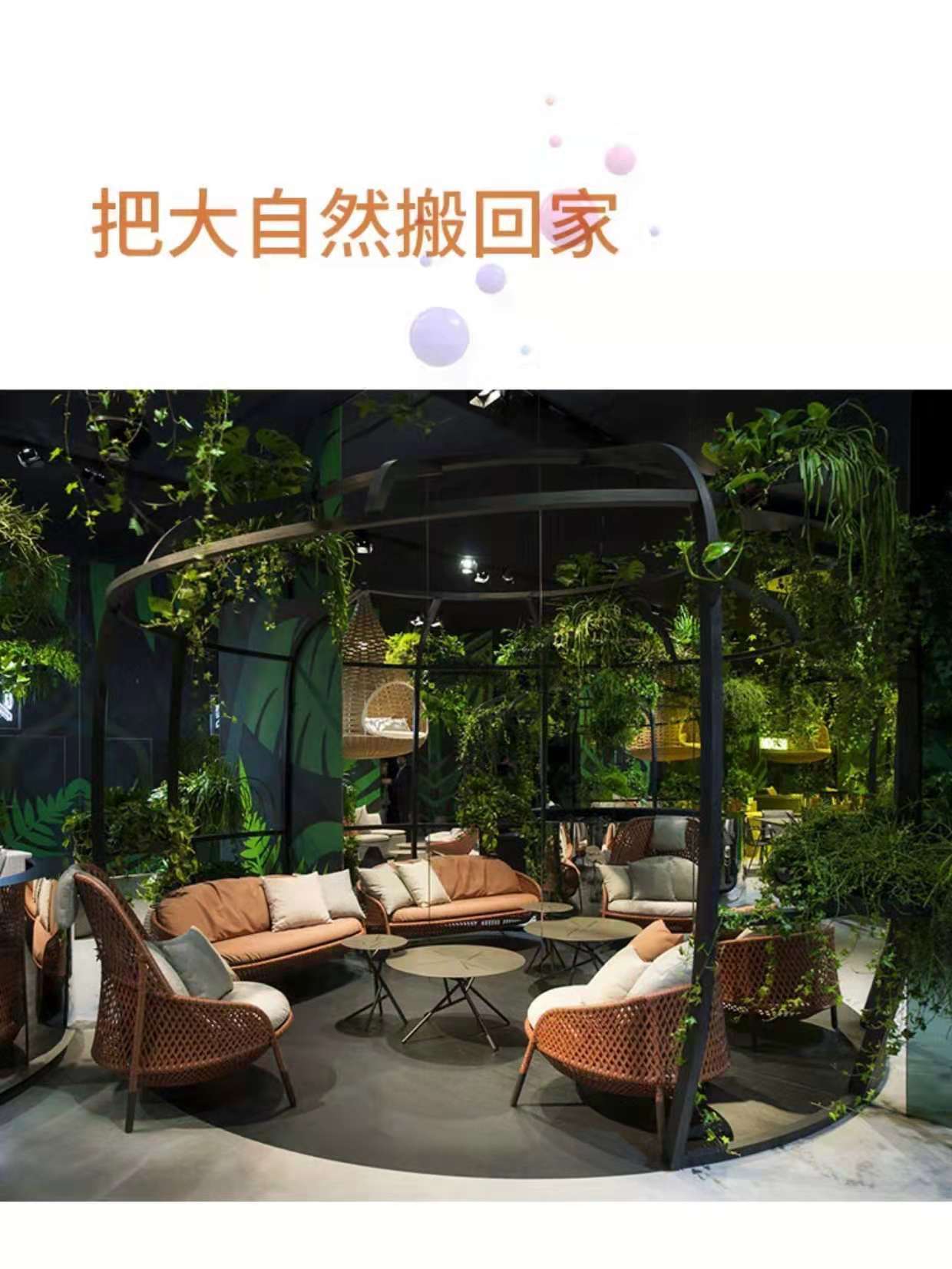 详情6.jpg
