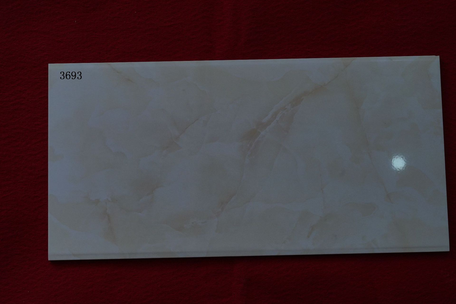 DSC04066