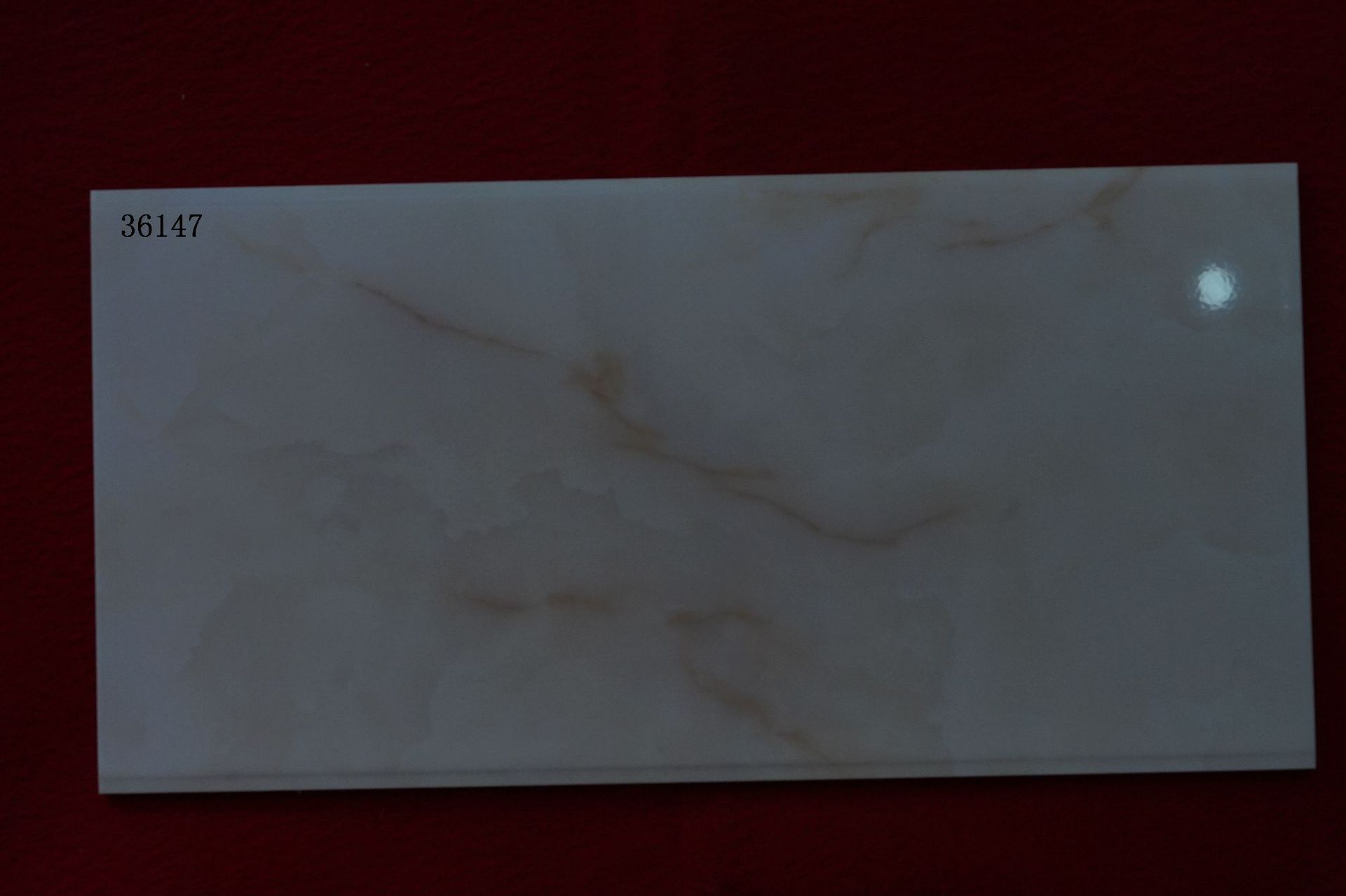 DSC04068
