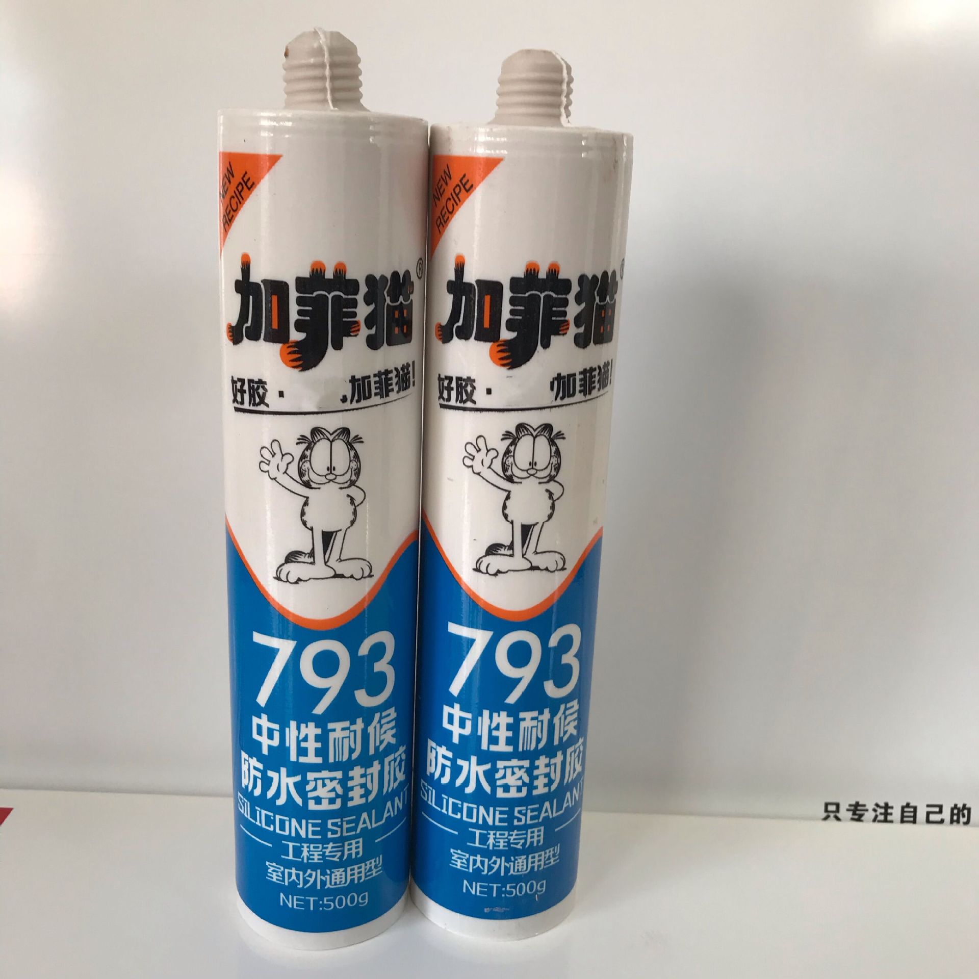 加菲猫2