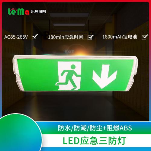 廠家直供消防應急燈具商場超市LED應急三防燈學校辦公場所指示燈