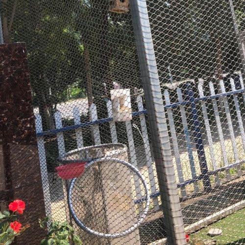 不鏽鋼繩網高空防墜網幼兒園防護網動物園圍網編制繩網植物攀爬網