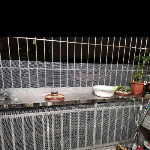 陽臺防拋網防掉物兒童安全防墜網防護網養雞育苗網塑料網防貓