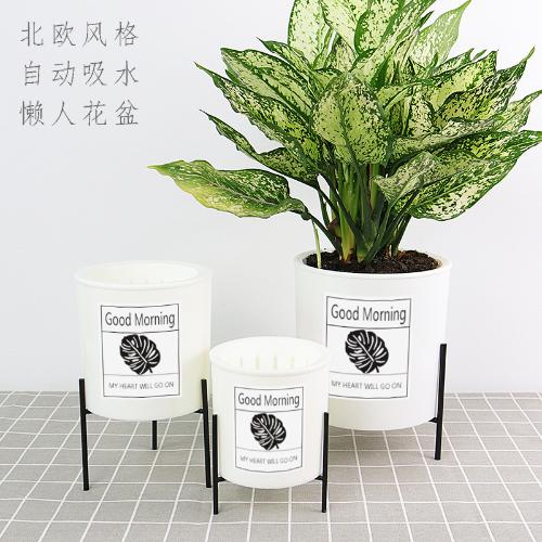 北歐風花盆鐵架花架蝴蝶蘭綠植創意直筒塑料自動吸水懶人花盆批發
