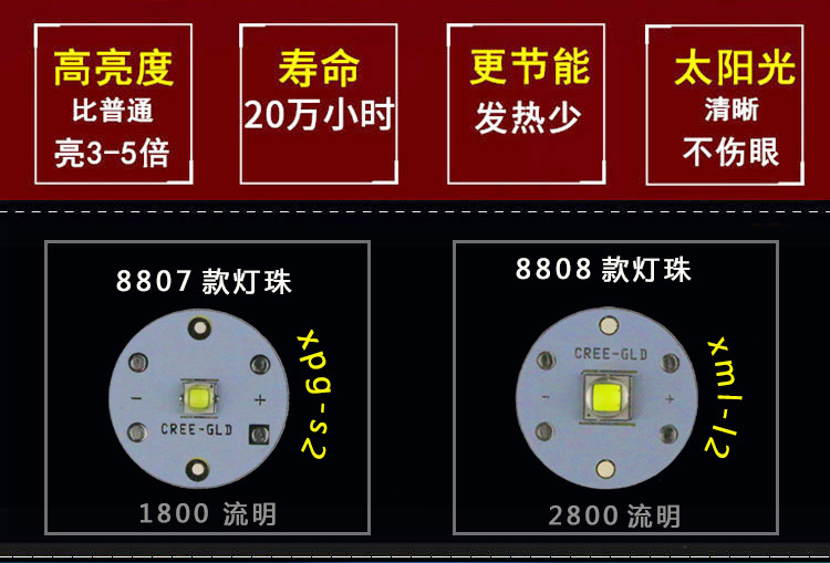 8807切片PC_09