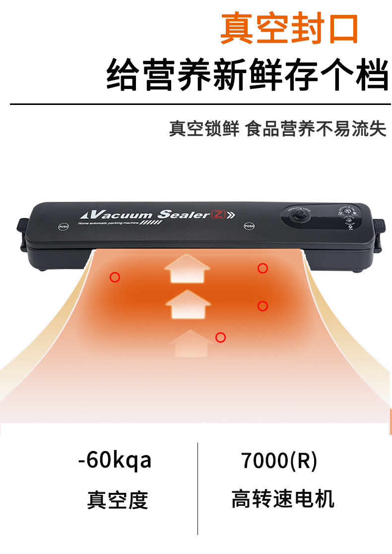 790_05.jpg