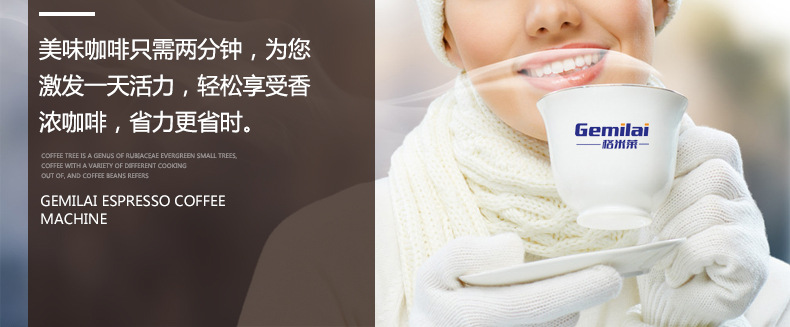 格米莱2008详情11
