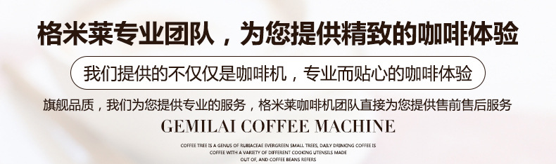 格米莱2008详情24