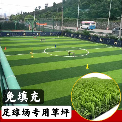 室內籠式免填充足球場草坪戶外五人制足球場施工隊人工假草皮