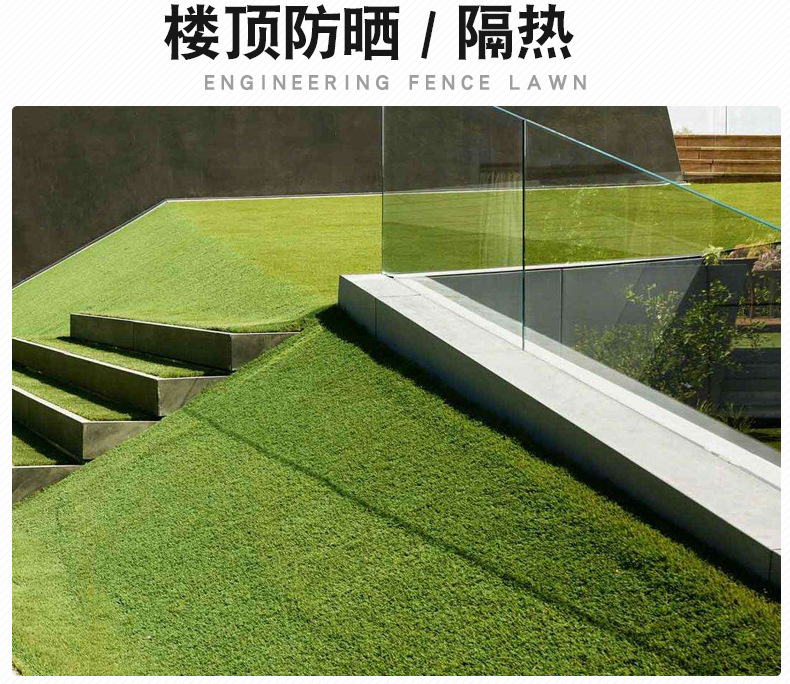 草坪7902_14.jpg