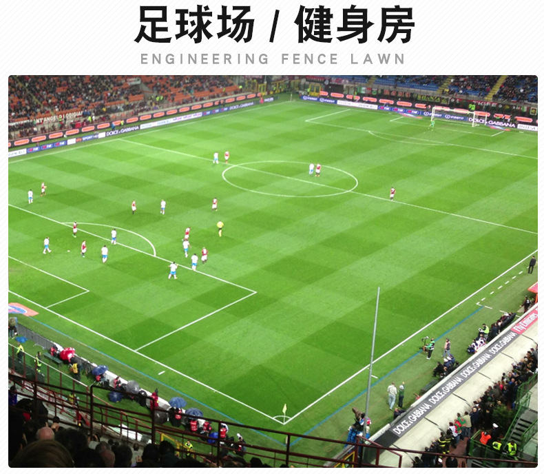 草坪7902_16.jpg