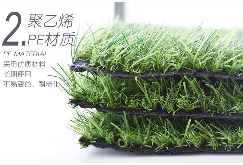 草坪7902_20.jpg