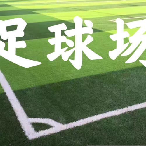 足球場學校人造仿真草坪門球場幼兒園戶外綠化人工塑料假草皮批發