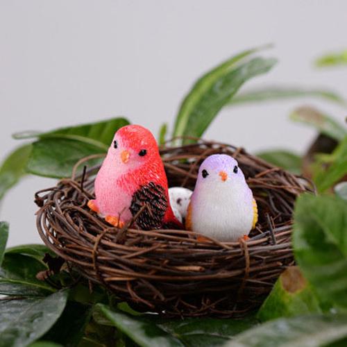 微觀鸚鵡小擺件多肉園藝造景鳥窩鳥蛋diy組件樹脂景觀裝飾擺件