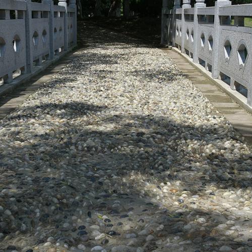 鋪路小石子大鵝卵石石頭鵝軟石白鵝暖石庭院多肉鋪面園林石雨花石