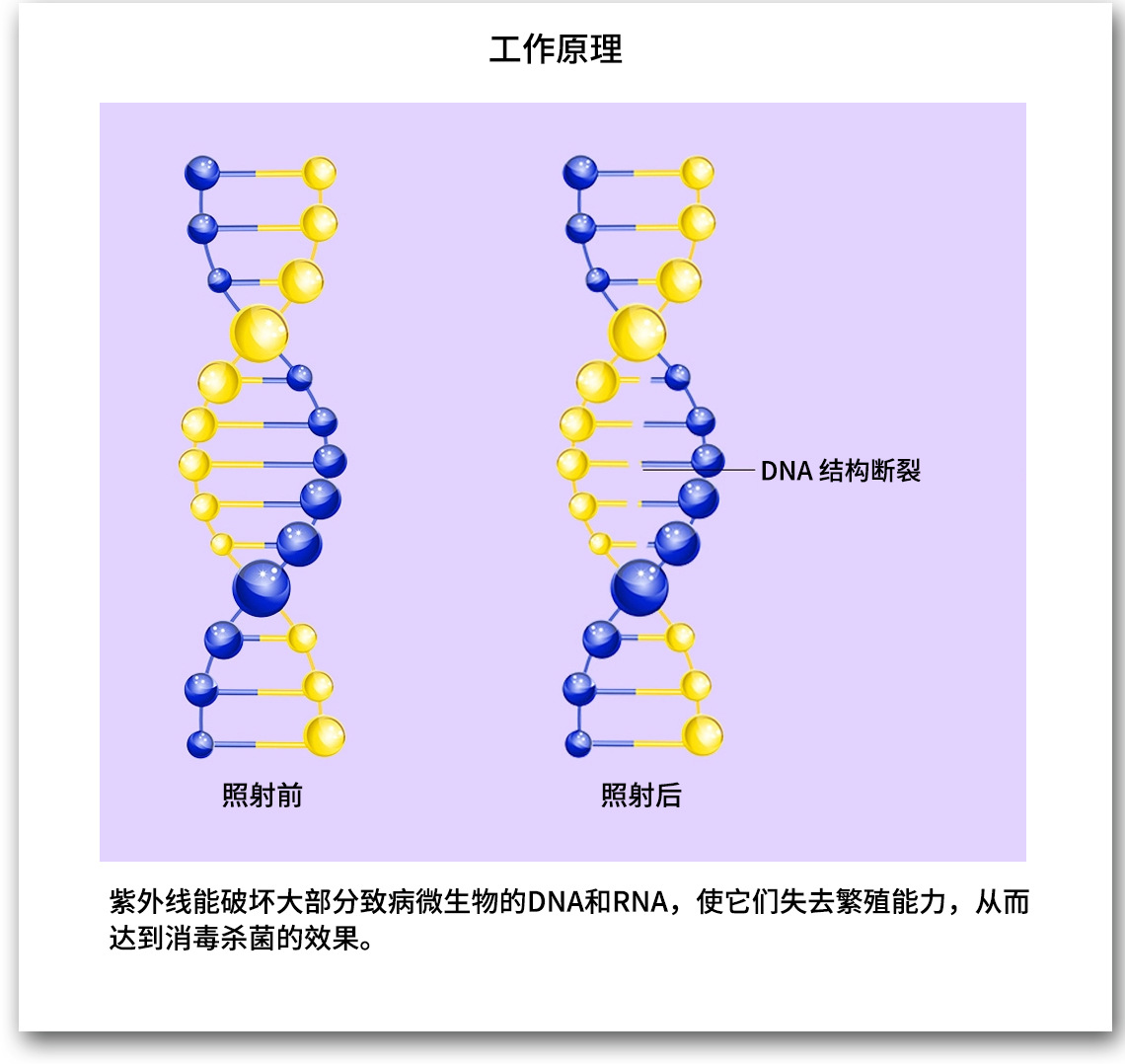 xiaodbang_07.jpg