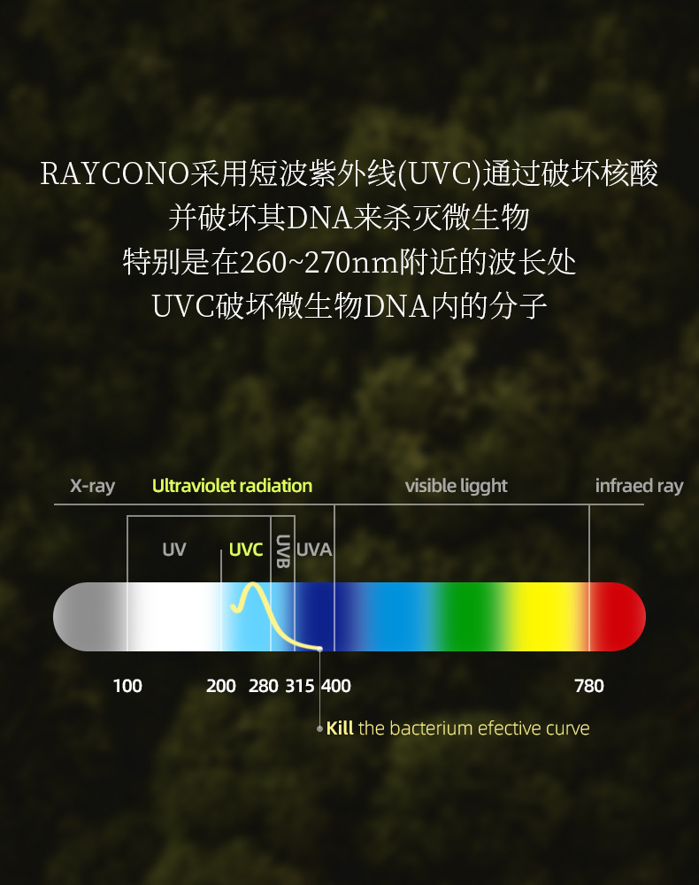 详情 (5).jpg