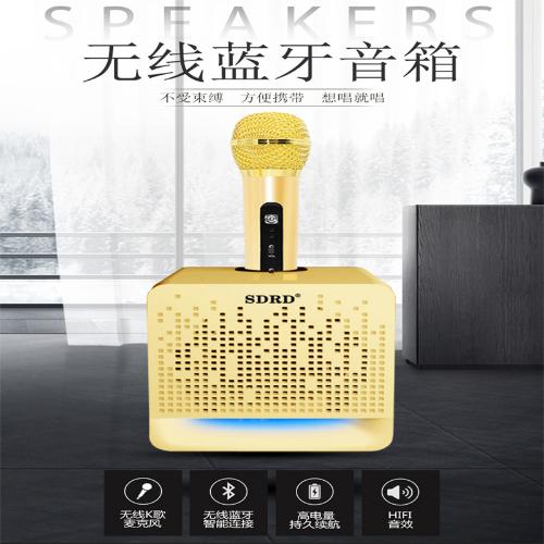 SD504無線藍牙麥克風便攜式藍牙音響戶外K歌音響支持收款語音播放