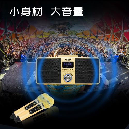 SD309家庭KTV無線麥克風藍牙音響一體機支持K歌無線錄音連接電視