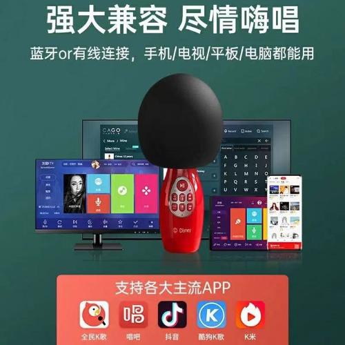 無線藍牙話筒音響一體K歌麥克風KTV唱吧K歌神器