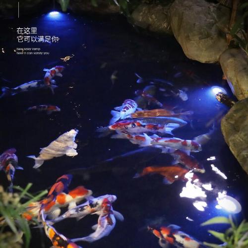 太陽能水底燈戶外花園七彩魚池水池燈防水下泳池魚缸燈別墅庭院燈