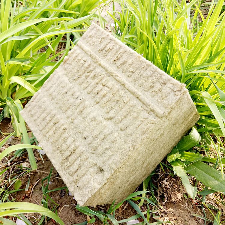123-295.jpg
