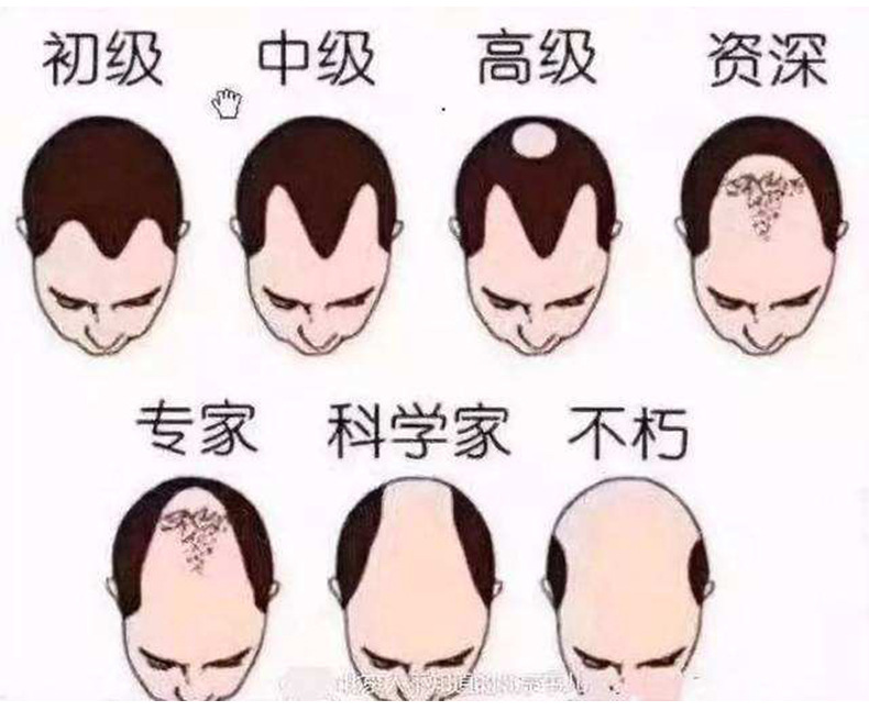 便签-_r7_c1.jpg
