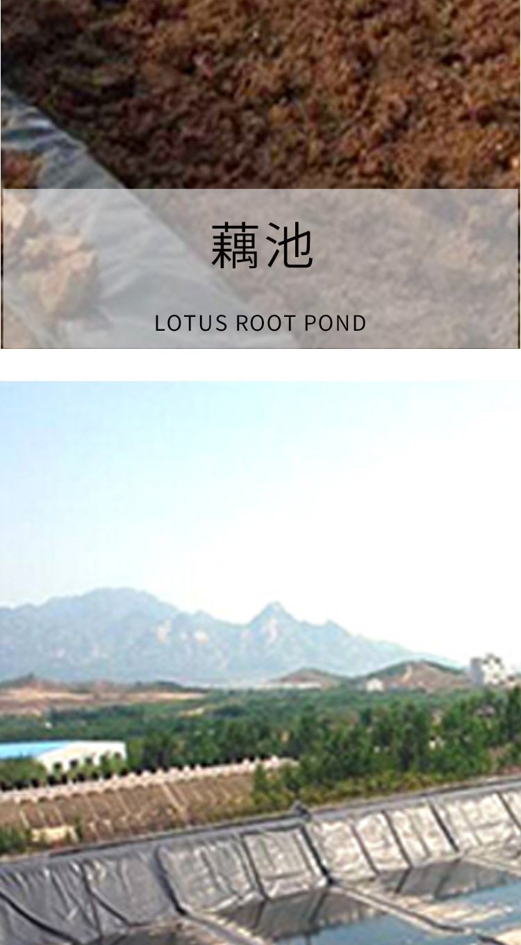 土工膜_05.png