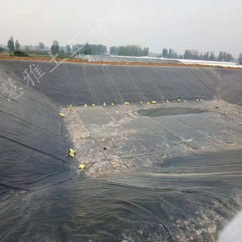 详情8