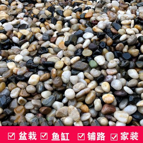 鵝卵石小石子雨花石原石魚缸造景花盆栽石頭五彩石彩色石頭