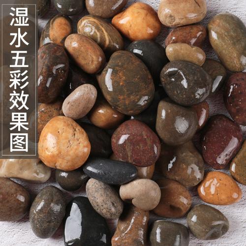 50斤鋪地鵝卵石鋪路大號庭院黑白灰石頭原石魚缸裝飾天然鵝軟暖石