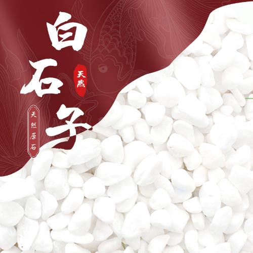 枯山水白色鵝卵石雪花白小米石園林店鋪造景盆栽水培家裝鋪路石