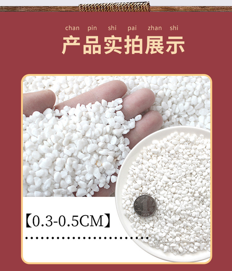 天然白石子_05