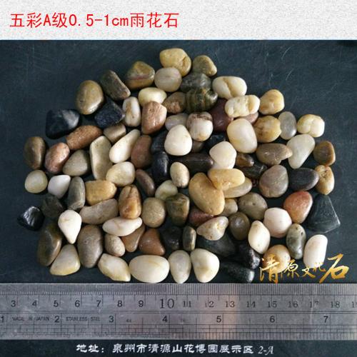 五彩雜色A級0.5-1cm鵝卵石水族魚缸雨花石泉州清源文化石廠家批發