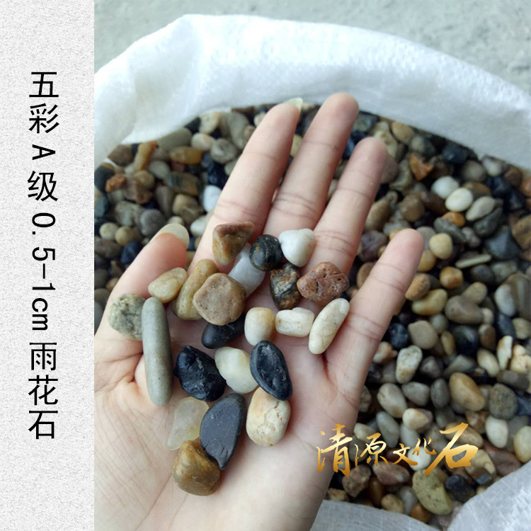 01彩A0.5-1cm.....