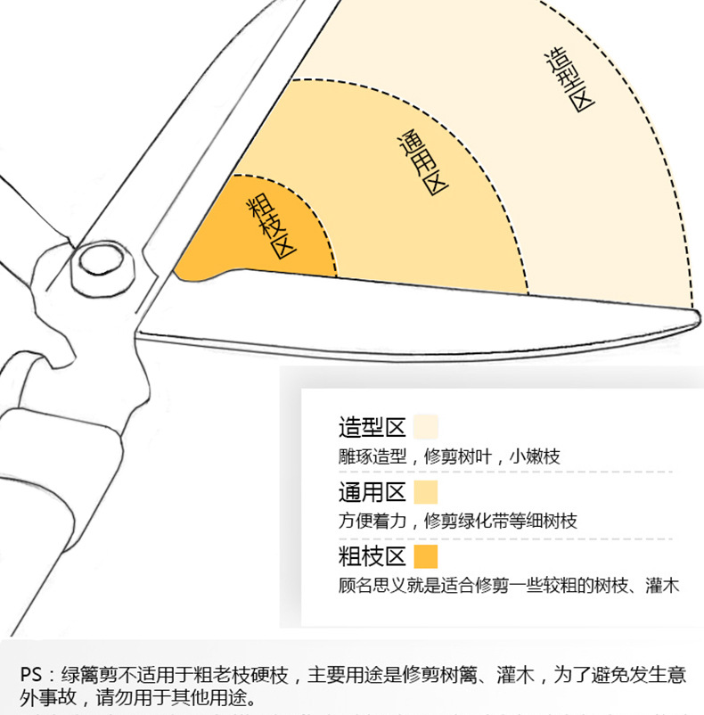 修枝区域