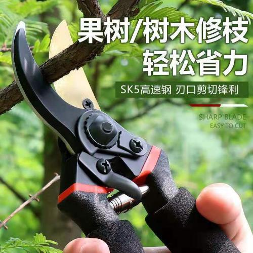 強力加厚SK5鋼樹枝剪園藝苗圃修枝剪粗枝果樹剪 剪枝鋒利樹枝剪刀