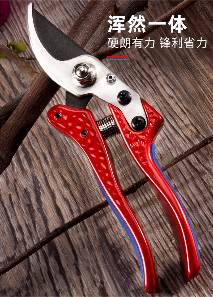 合金手柄树枝剪_06.jpg