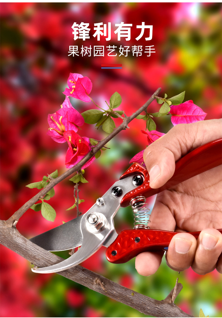 合金手柄树枝剪_04.jpg