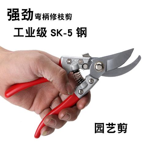 滑輪修枝剪果枝剪園林園藝剪德國修枝剪刀sk5果樹粗枝剪省力
