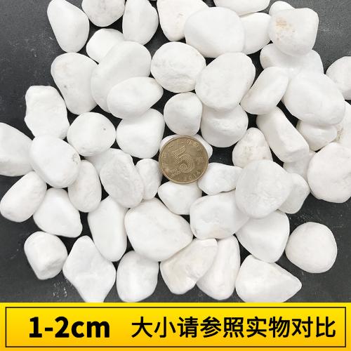 鵝卵石天然雨花石小白石子多肉鋪面盆栽花盆庭院造景裝飾白色石頭